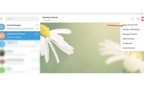 如何在Telegram上搜索?